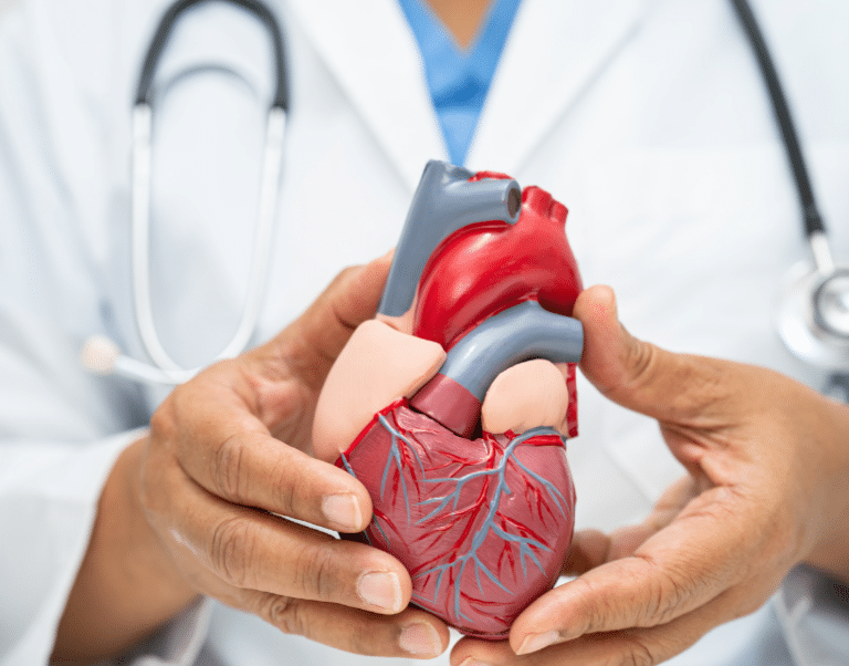 Como a diabetes afeta o sistema cardiovascular